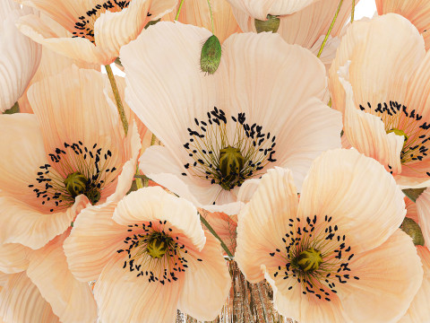 Beautiful Bouquet White Beige Wild Flowers Poppy 570 Modelo 3D