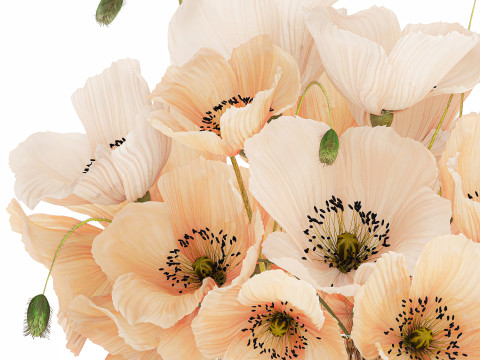 Beautiful Bouquet White Beige Wild Flowers Poppy 570 Modelo 3D
