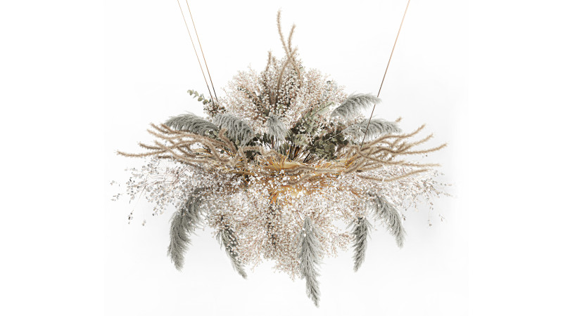 Hanging Installation Bouquet Dried Flowers pampas gypsophila 571 3D मॉडल .c4d .max .obj .3ds .fbx .stl .blend 