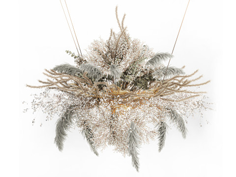 Hanging Installation Bouquet Dried Flowers pampas gypsophila 571 3D Model