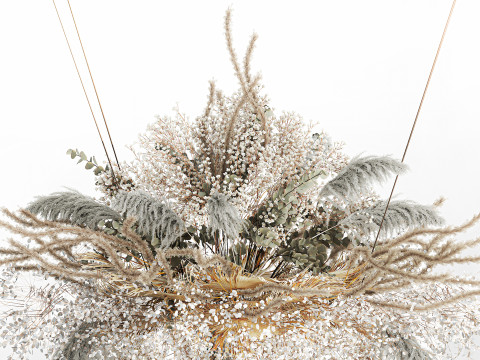 Hanging Installation Bouquet Dried Flowers pampas gypsophila 571 3D मॉडल