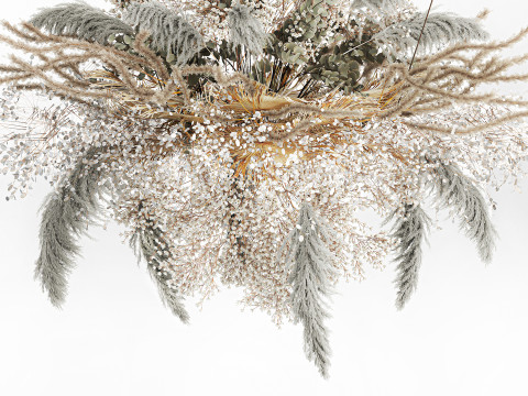 Hanging Installation Bouquet Dried Flowers pampas gypsophila 571 3D मॉडल