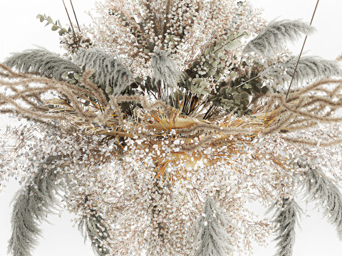 Hanging Installation Bouquet Dried Flowers pampas gypsophila 571 3D मॉडल