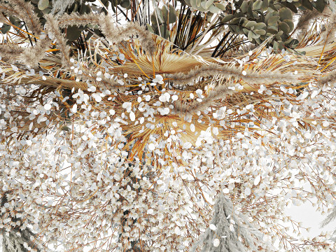 Hanging Installation Bouquet Dried Flowers pampas gypsophila 571 3D मॉडल