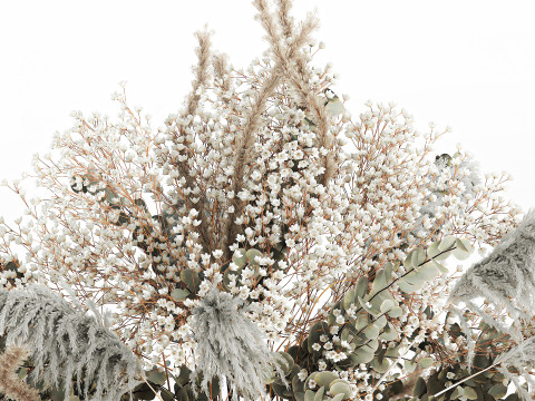 Hanging Installation Bouquet Dried Flowers pampas gypsophila 571 3D मॉडल