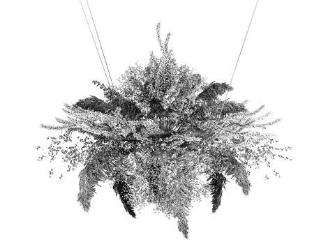 Hanging Installation Bouquet Dried Flowers pampas gypsophila 571 3D मॉडल