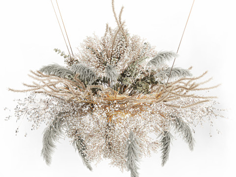 Hanging Installation Bouquet Dried Flowers pampas gypsophila 571 3D मॉडल
