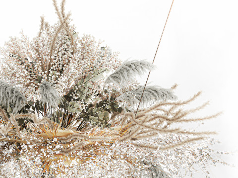 Hanging Installation Bouquet Dried Flowers pampas gypsophila 571 3D मॉडल
