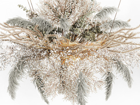 Hanging Installation Bouquet Dried Flowers pampas gypsophila 571 3D मॉडल