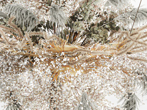Hanging Installation Bouquet Dried Flowers pampas gypsophila 571 3D Model