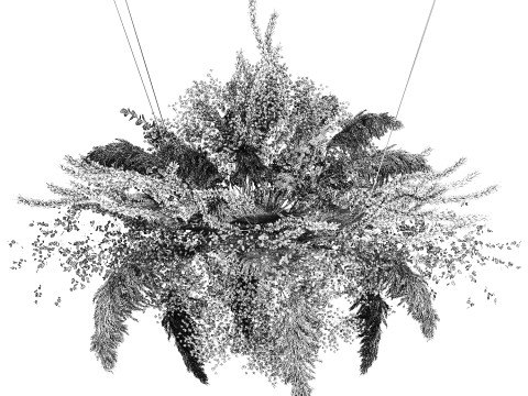 Hanging Installation Bouquet Dried Flowers pampas gypsophila 571 3D मॉडल