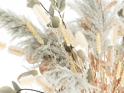White bouquet of dried flowers in a vase with dry branches pampas 572 3D Model