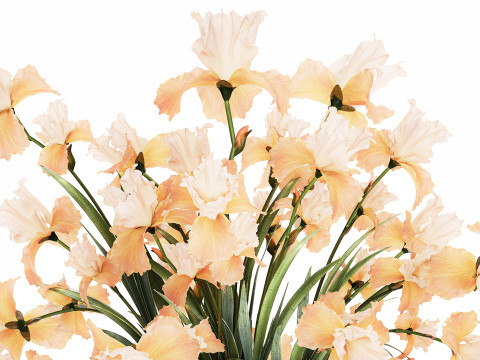 Beautiful Bouquet In Glass Vase With Flowers Iris 573 3D Модель