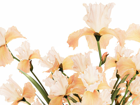 Beautiful Bouquet In Glass Vase With Flowers Iris 573 3D Модель