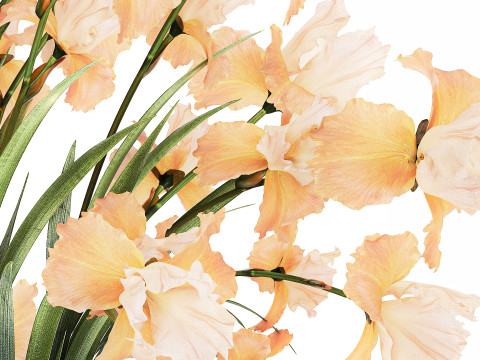 Beautiful Bouquet In Glass Vase With Flowers Iris 573 3D Модель