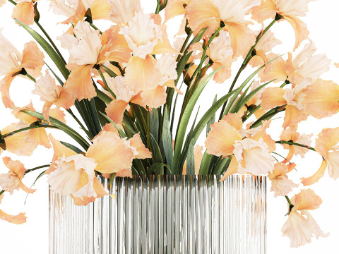Beautiful Bouquet In Glass Vase With Flowers Iris 573 3D Модель