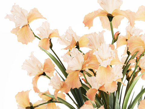 Beautiful Bouquet In Glass Vase With Flowers Iris 573 3D Модель