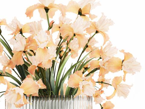 Beautiful Bouquet In Glass Vase With Flowers Iris 573 3D Модель