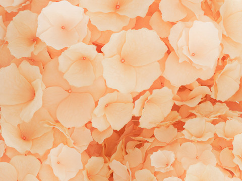 Small Bouquet In A Glass Vase With Hydrangea 576 3D Model