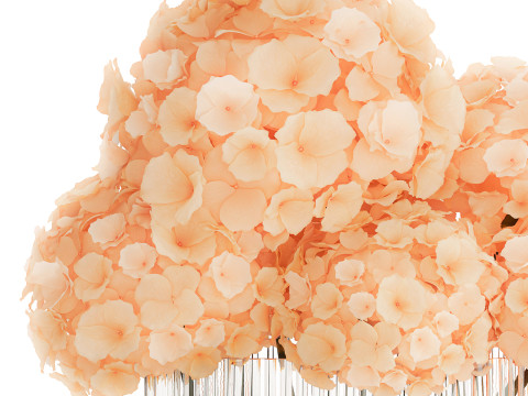 Small Bouquet In A Glass Vase With Hydrangea 576 3D Model