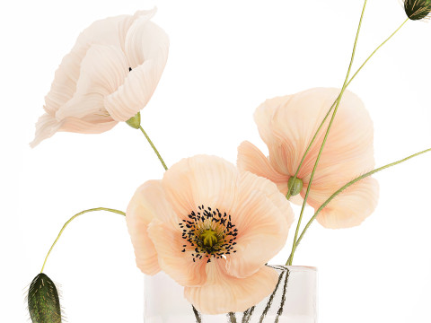Beautiful Bouquet Glass Vase Icelandic Poppy 577 Model 3D
