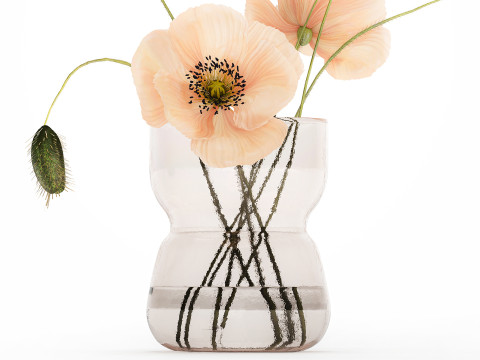 Beautiful Bouquet Glass Vase Icelandic Poppy 577 Model 3D