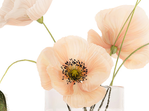 Beautiful Bouquet Glass Vase Icelandic Poppy 577 Model 3D