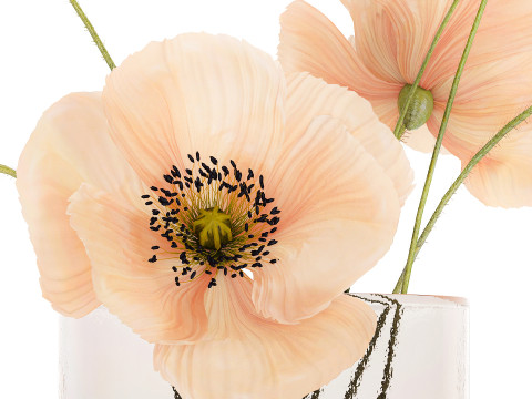 Beautiful Bouquet Glass Vase Icelandic Poppy 577 Model 3D
