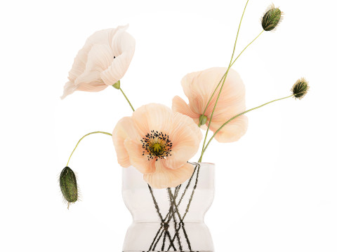 Beautiful Bouquet Glass Vase Icelandic Poppy 577 Model 3D