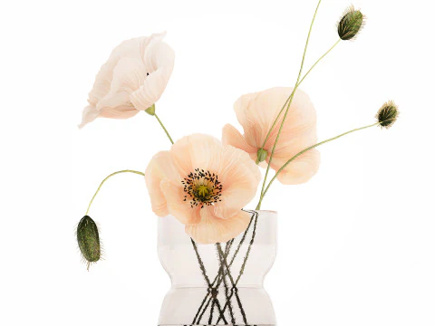 Beautiful Bouquet Glass Vase Icelandic Poppy 577 3D Model
