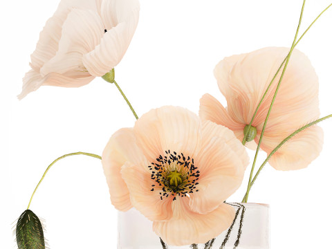 Beautiful Bouquet Glass Vase Icelandic Poppy 577 Model 3D