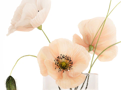 Beautiful Bouquet Glass Vase Icelandic Poppy 577 3D Model