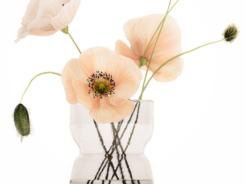 Beautiful Bouquet Glass Vase Icelandic Poppy 577 Model 3D