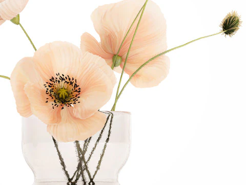 Beautiful Bouquet Glass Vase Icelandic Poppy 577 3D Model