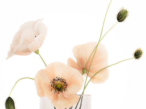 Beautiful Bouquet Glass Vase Icelandic Poppy 577 Model 3D