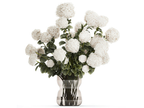 Festive Bouquet In Glass Vase White Hydrangea 578 3D 모델