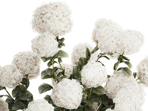 Festive Bouquet In Glass Vase White Hydrangea 578 3D Model