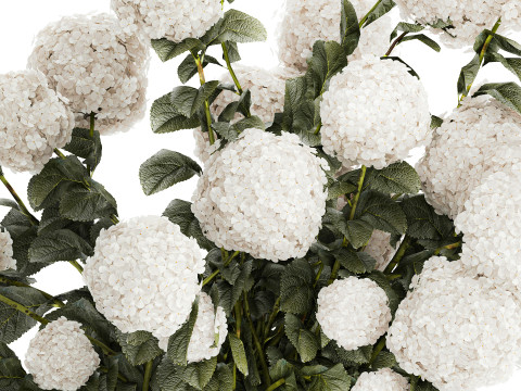 Festive Bouquet In Glass Vase White Hydrangea 578 3D Model
