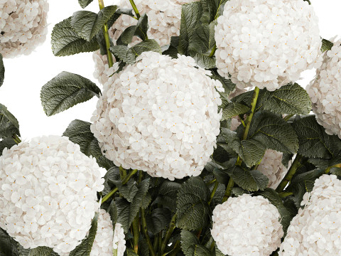 Festive Bouquet In Glass Vase White Hydrangea 578 3D Model
