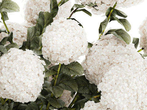 Festive Bouquet In Glass Vase White Hydrangea 578 3D Model
