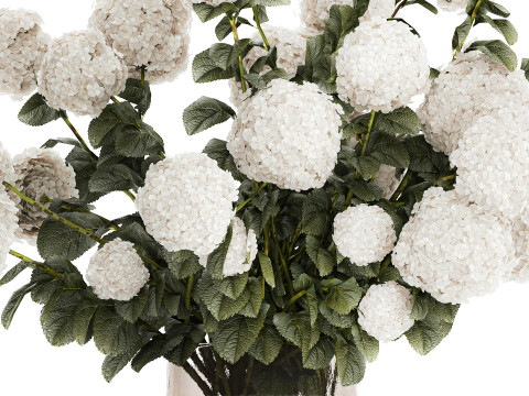 Festive Bouquet In Glass Vase White Hydrangea 578 3D Model