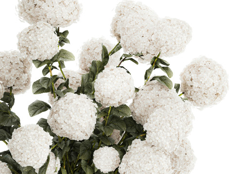 Festive Bouquet In Glass Vase White Hydrangea 578 3D Model