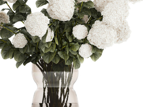 Festive Bouquet In Glass Vase White Hydrangea 578 3D Model