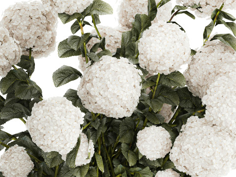 Festive Bouquet In Glass Vase White Hydrangea 578 3D Model