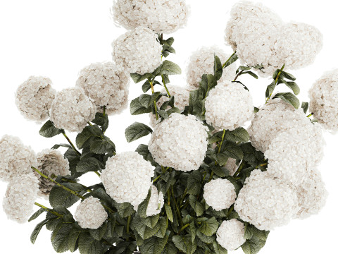 Festive Bouquet In Glass Vase White Hydrangea 578 3D Model