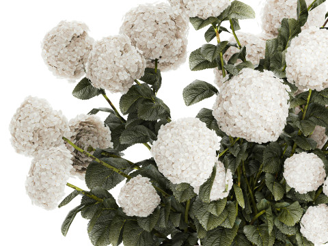 Festive Bouquet In Glass Vase White Hydrangea 578 3D Model
