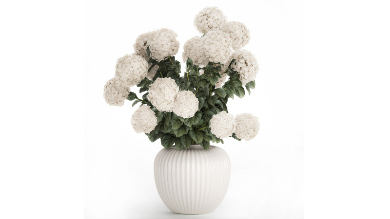 Festive Bouquet In A Ceramic Vase White Hydrangea 580 3D Model .c4d .max .obj .3ds .fbx .stl .blend