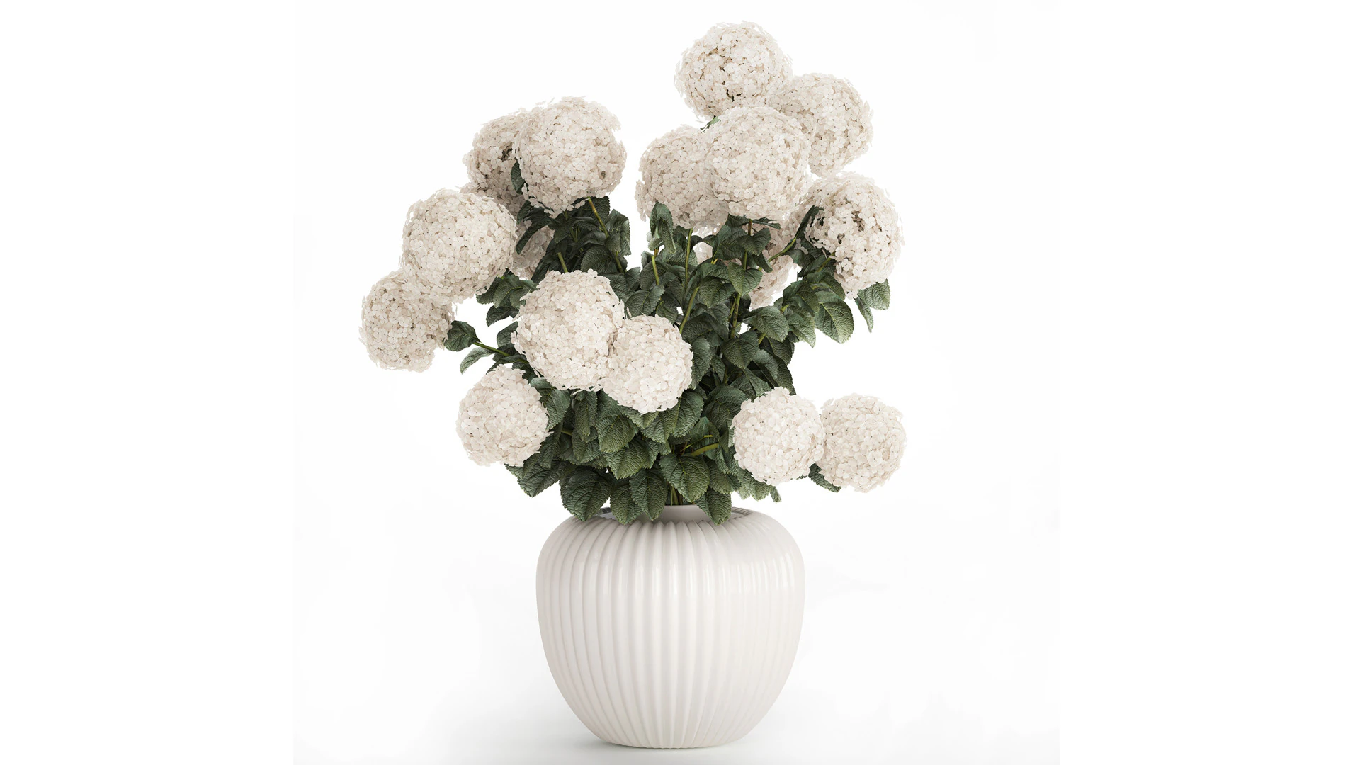 Festive Bouquet In A Ceramic Vase White Hydrangea 580 3D Model .c4d .max .obj .3ds .fbx .stl .blend 