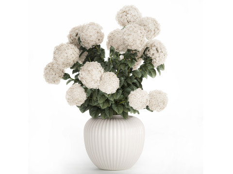 Festive Bouquet In A Ceramic Vase White Hydrangea 580 3D-Modell
