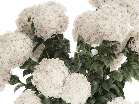 Festive Bouquet In A Ceramic Vase White Hydrangea 580 3D Model